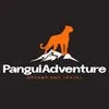 Tour de aventura en Panguipulli y Puerto Fuy
