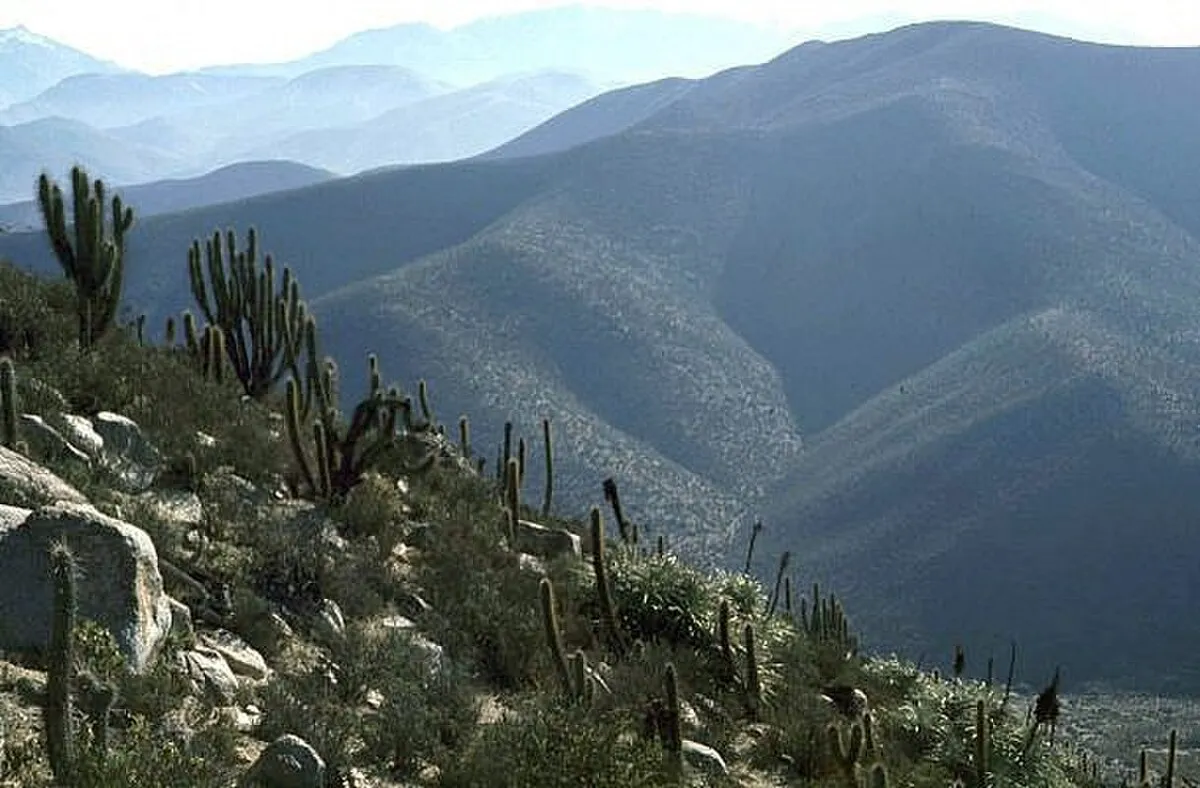 Reserva nacional Las Chinchillas