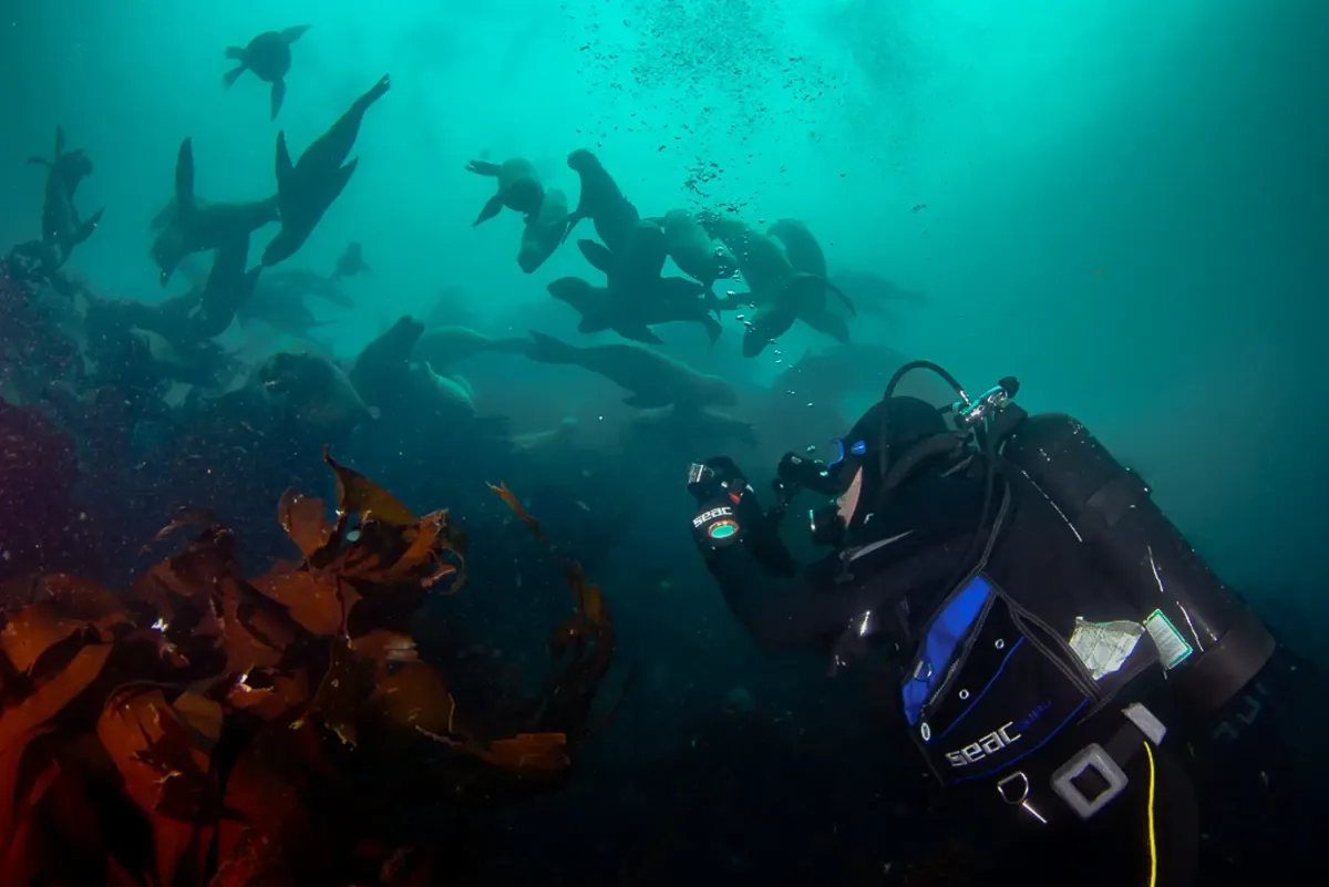 Buceo Recreativo