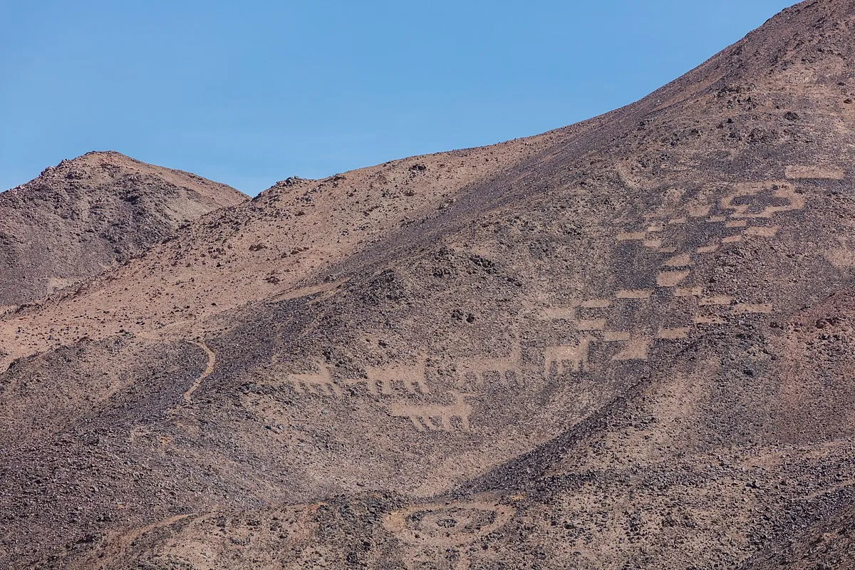 Reserva nacional Pampa del Tamarugal