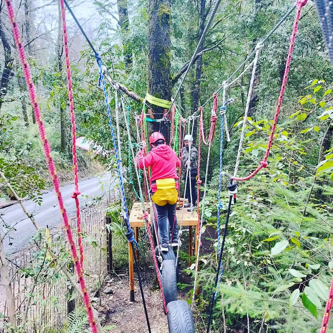 Canopy y arborismo en Pucón – Circuito en bosque nativo - 3