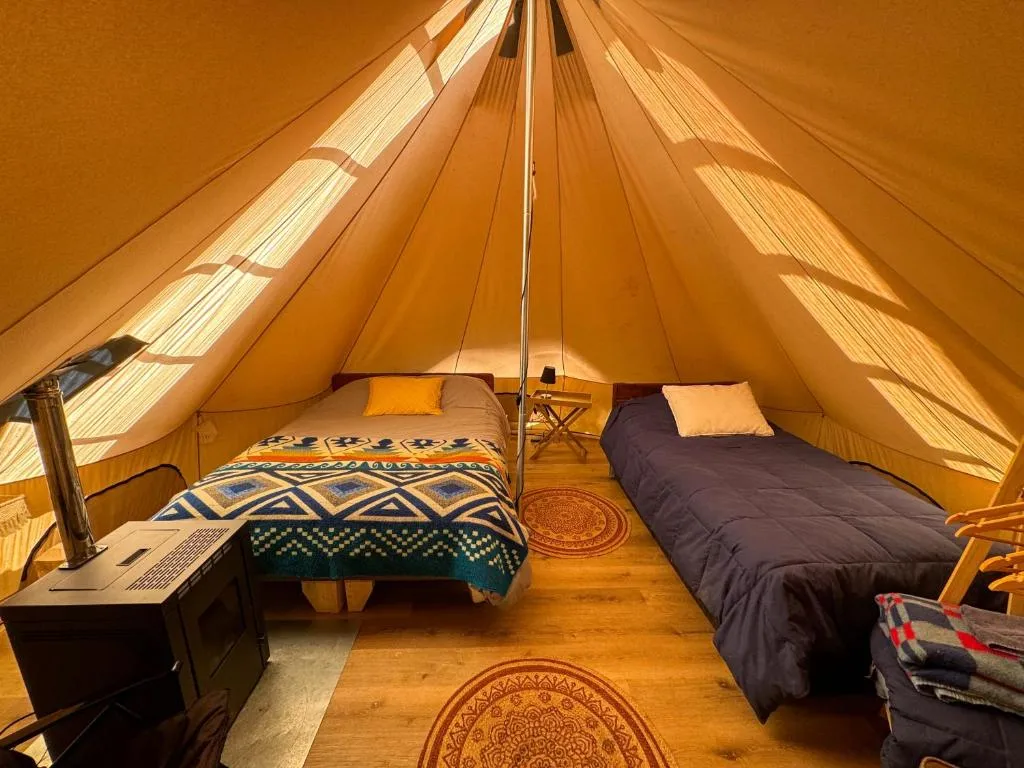 Glamping Casa del Árbol - 2
