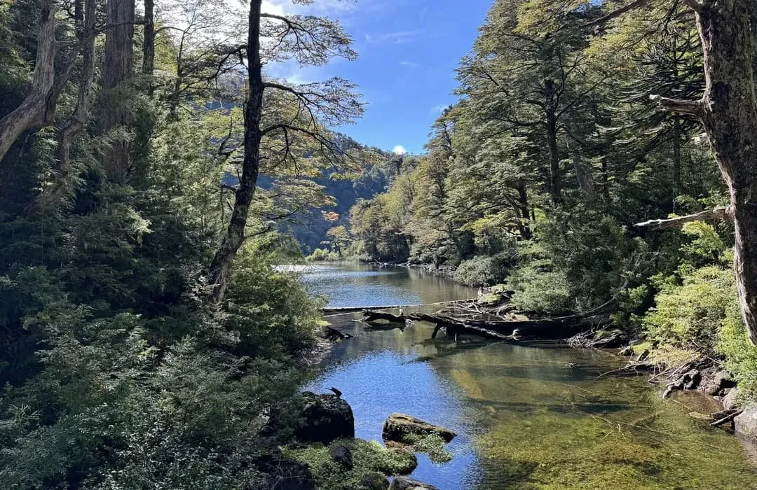 Parque Nacional Huerquehue