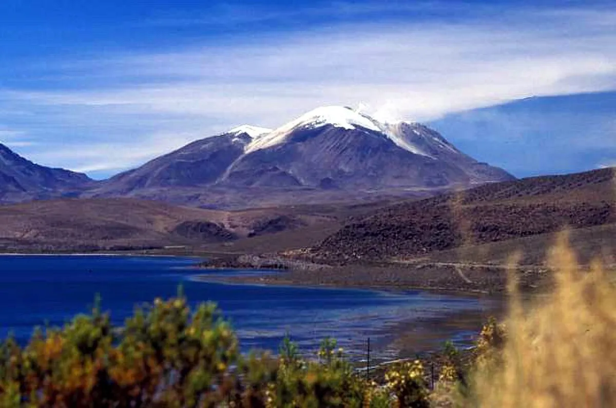 Reserva nacional Las Vicuñas