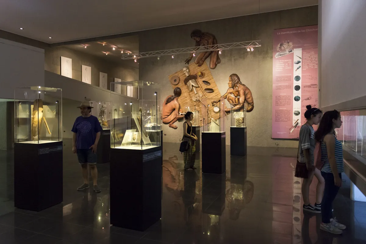 City Tour: Arica y Arqueología en Azapa