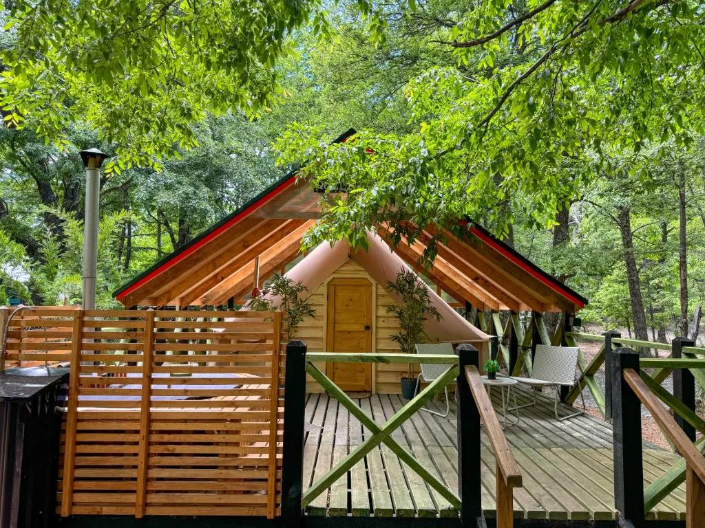 Glamping Casa del Árbol - 5