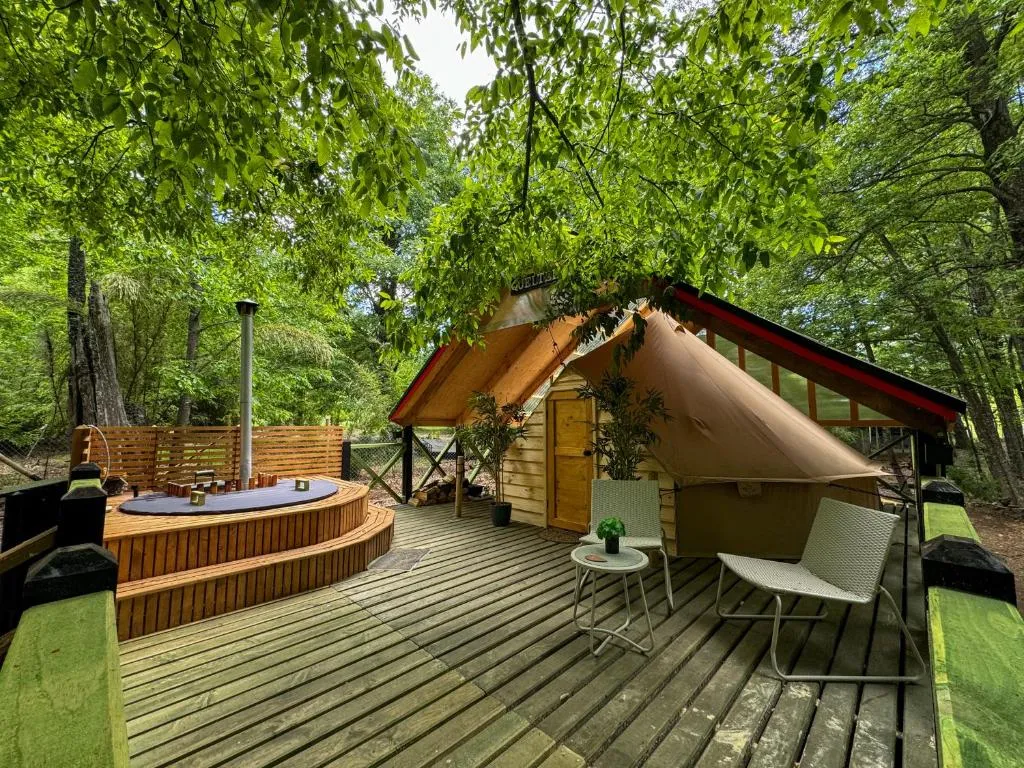 Glamping Casa del Árbol - 4