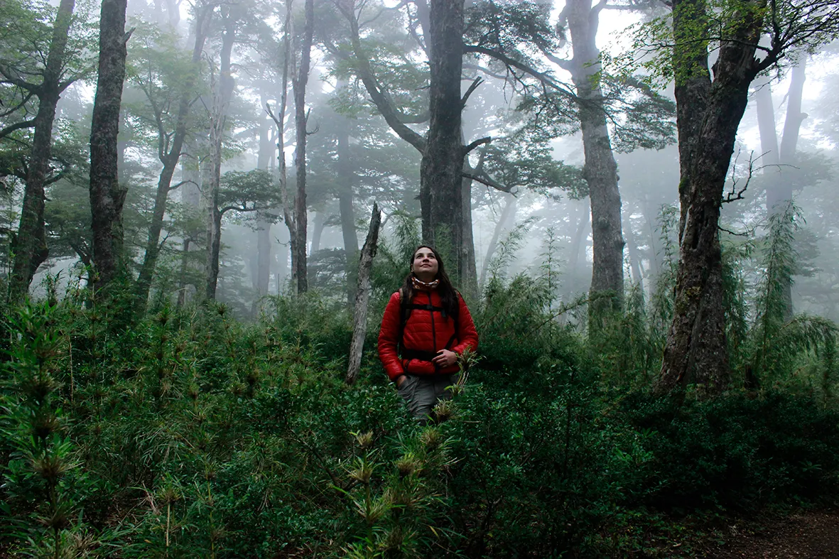 El Cañi Sanctuary