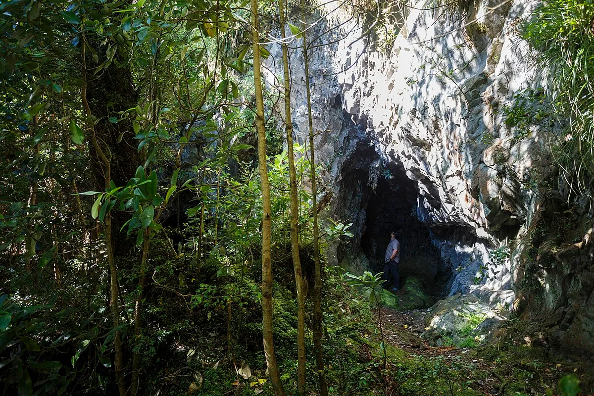 Arte rupestre del morro Vilcún