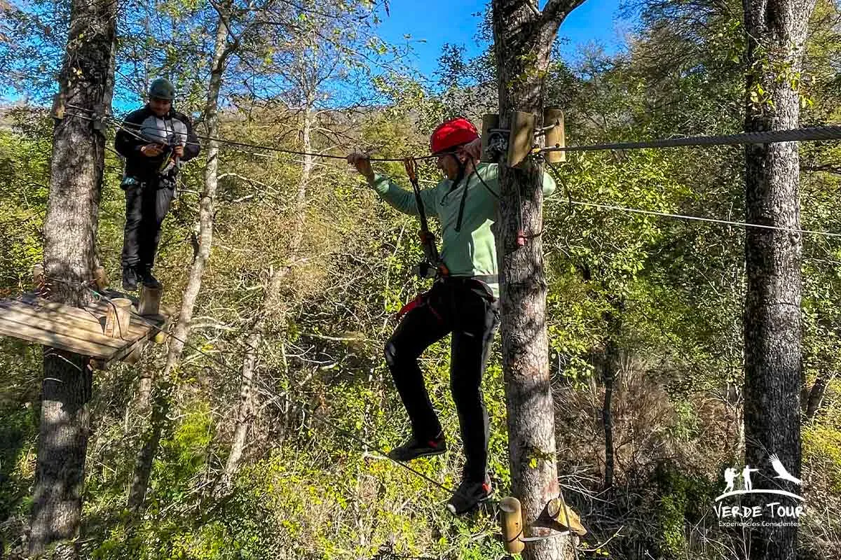 Canopy y Arborismo