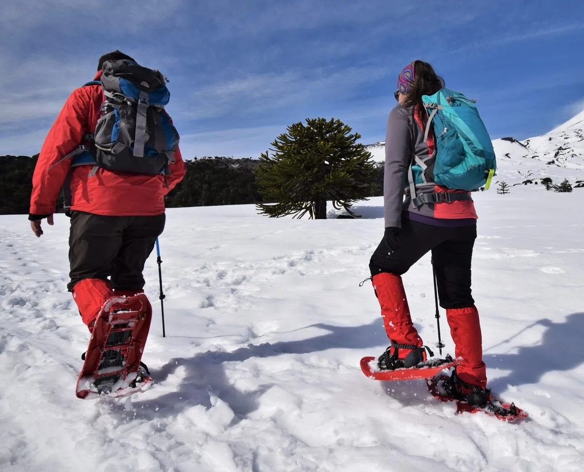 Conguillío Invernal (raquetas de nieve)