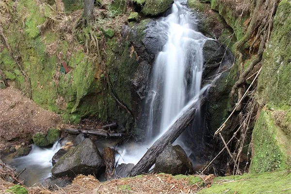 Tour Parque Nacional Nonguén