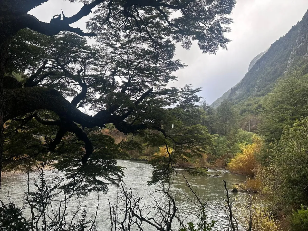 Reserva Río Simpson
