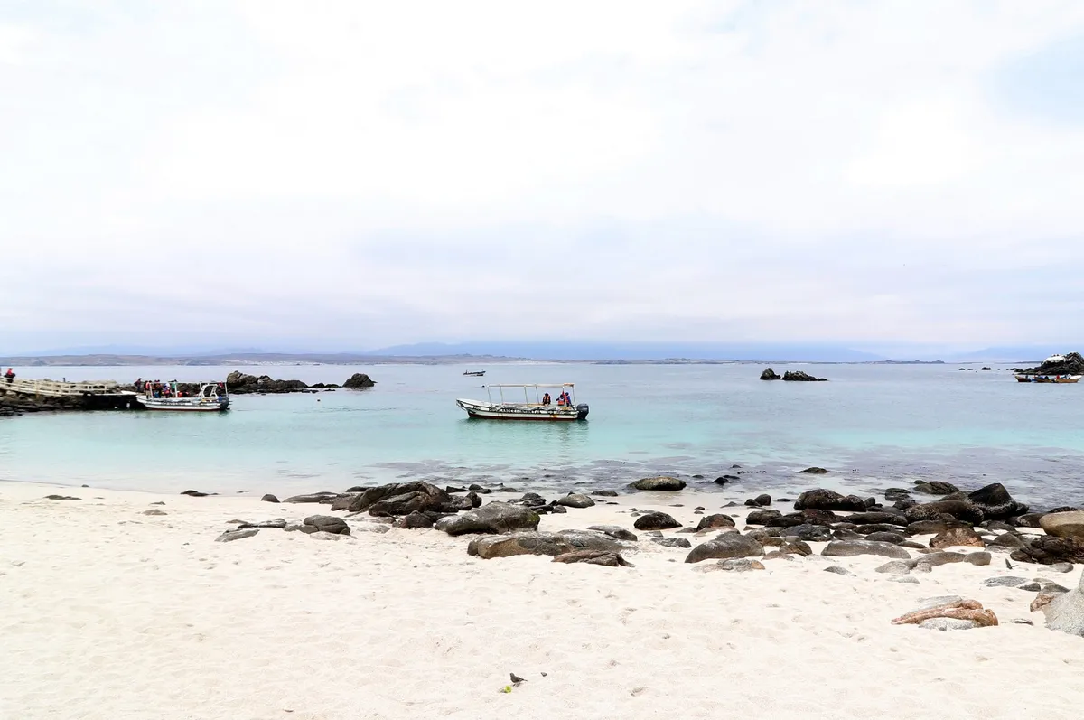 Tour Reserva Nacional Pingüino de Humboldt - Isla Choros e Isla Damas