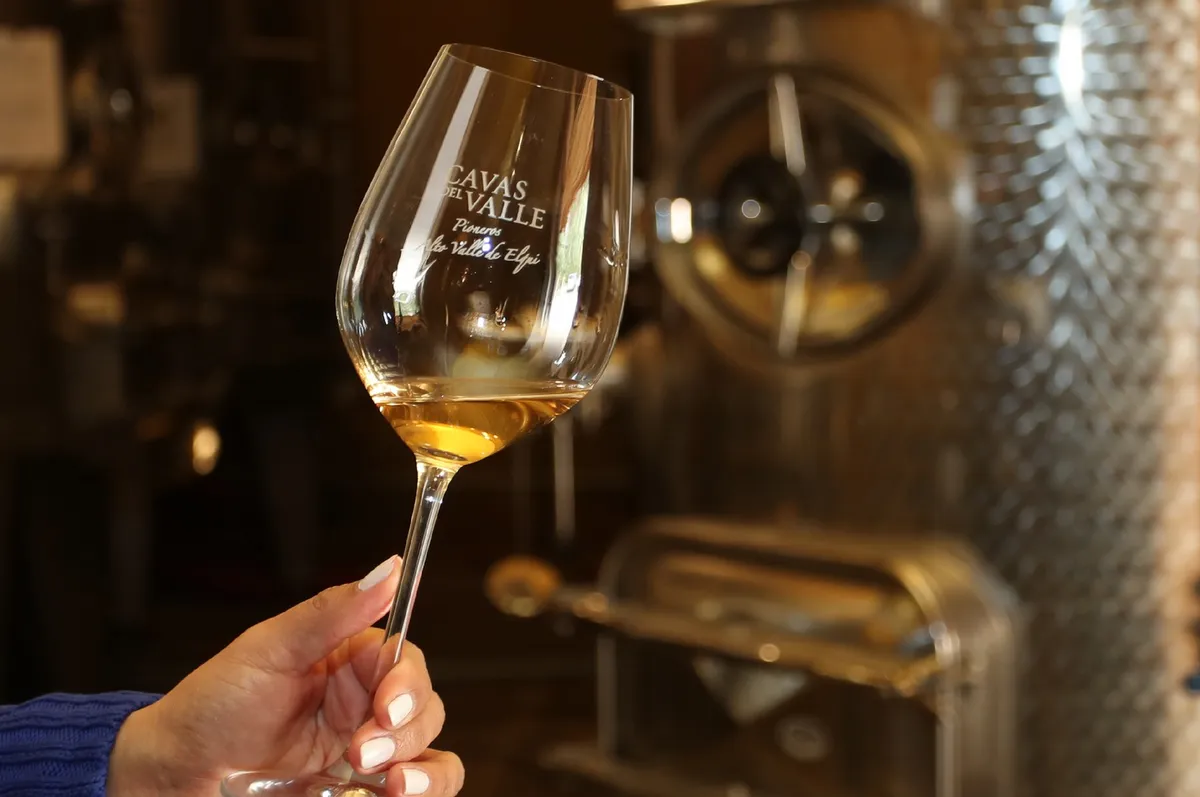 Tour del Vino - Valle de Elqui