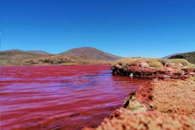 Tour Laguna Roja