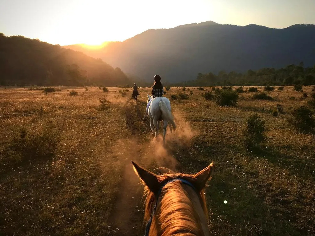 Cabalgatas SuizAndina