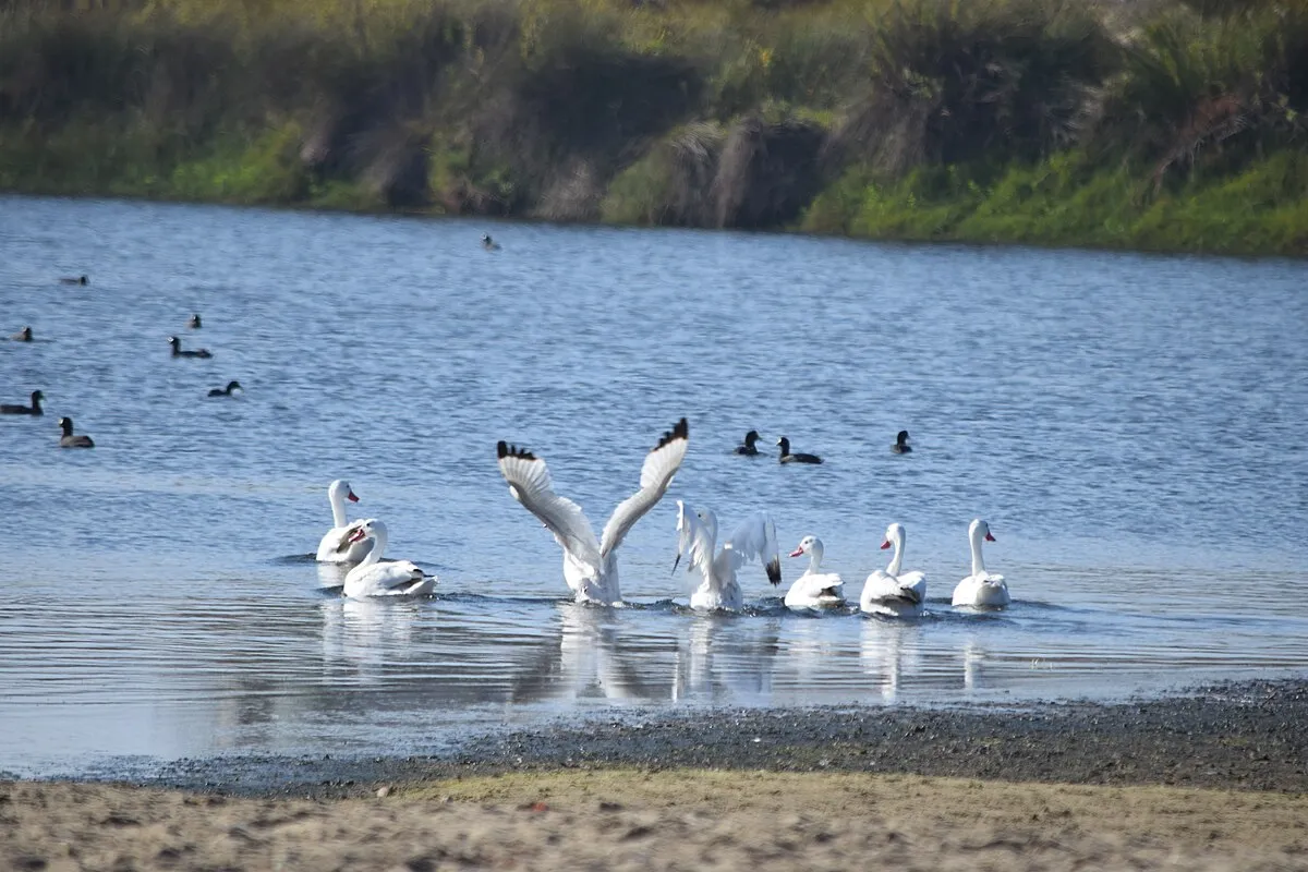 Humedal Estuario Los Molles