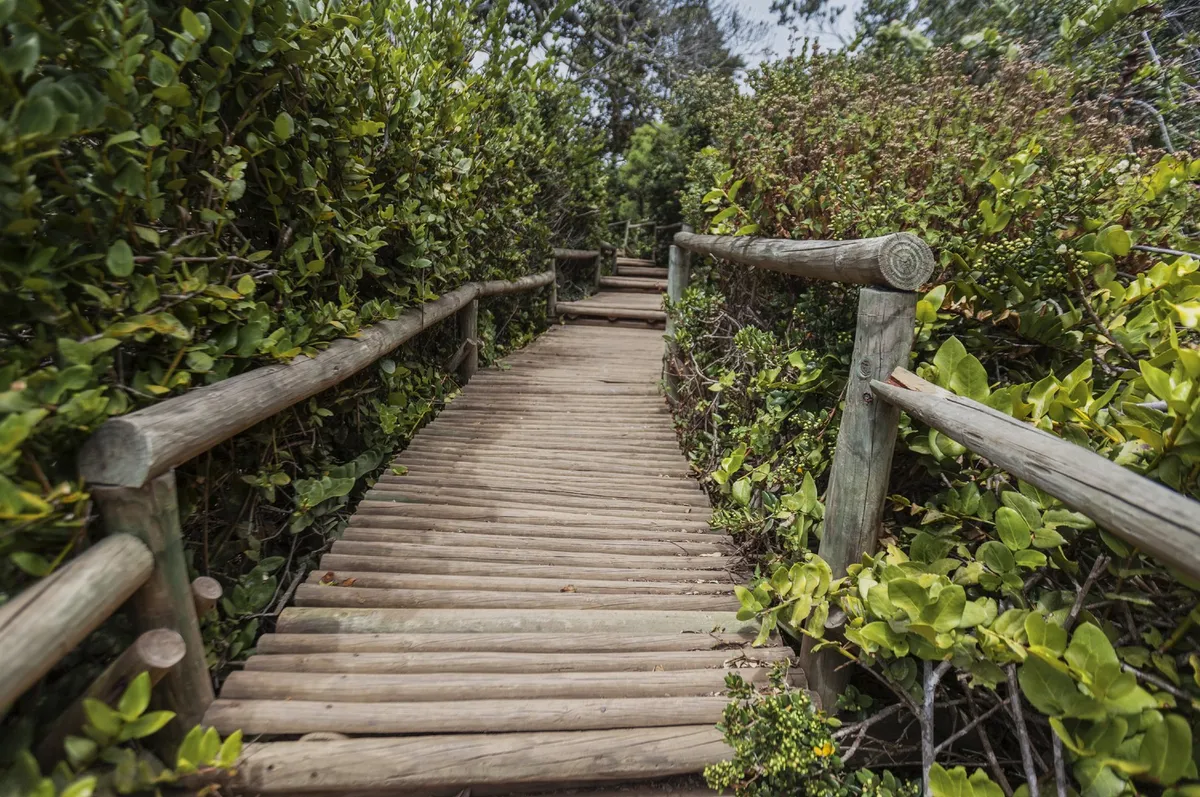 Parque Nacional Fray Jorge y Tongoy