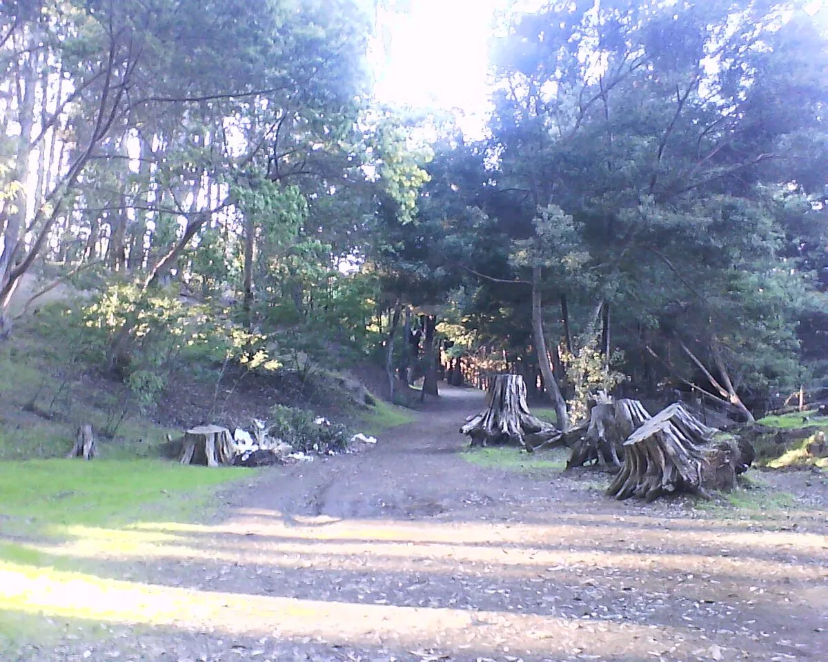 Zona típica de Pichilemu