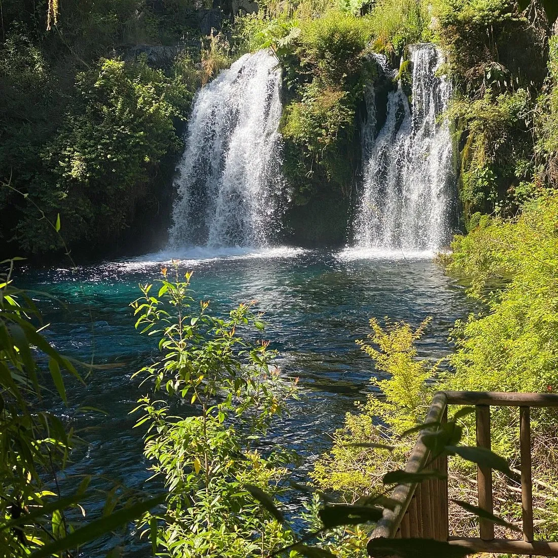 Visita a Ojos del Caburgua en Pucón – Cascadas y pozones de agua azul - 2