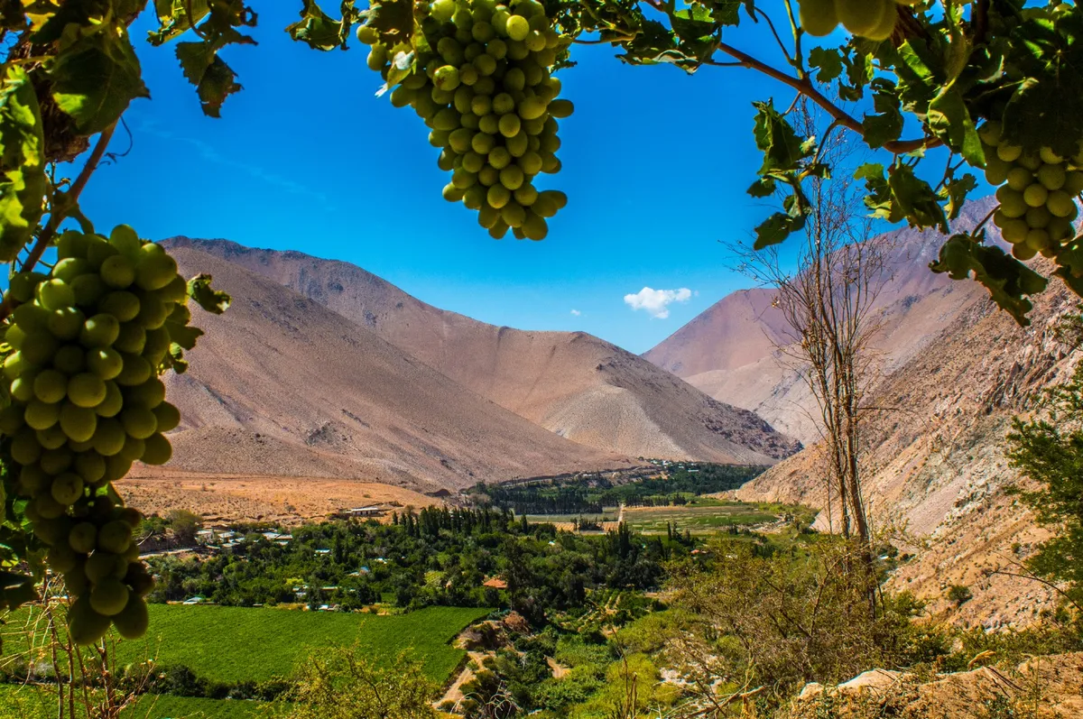 Tour Valle de Elqui desde La Serena