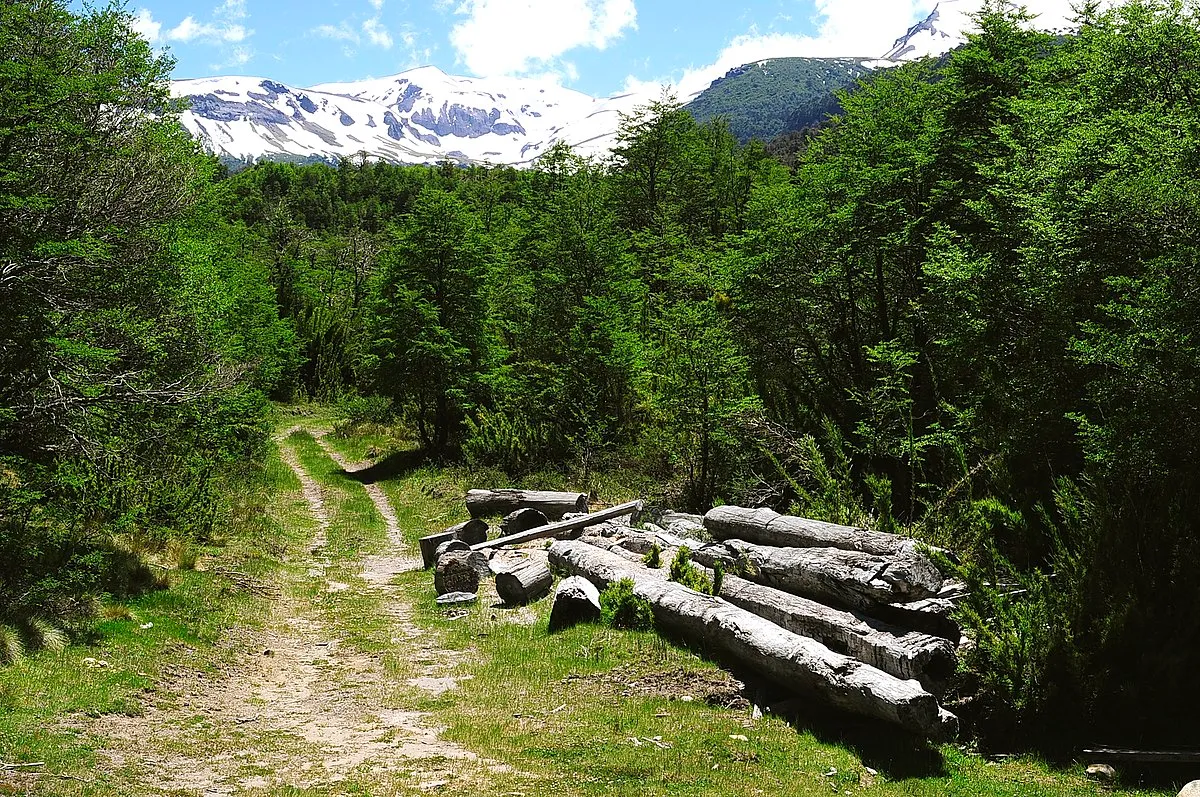 Reserva nacional Hualalafquén