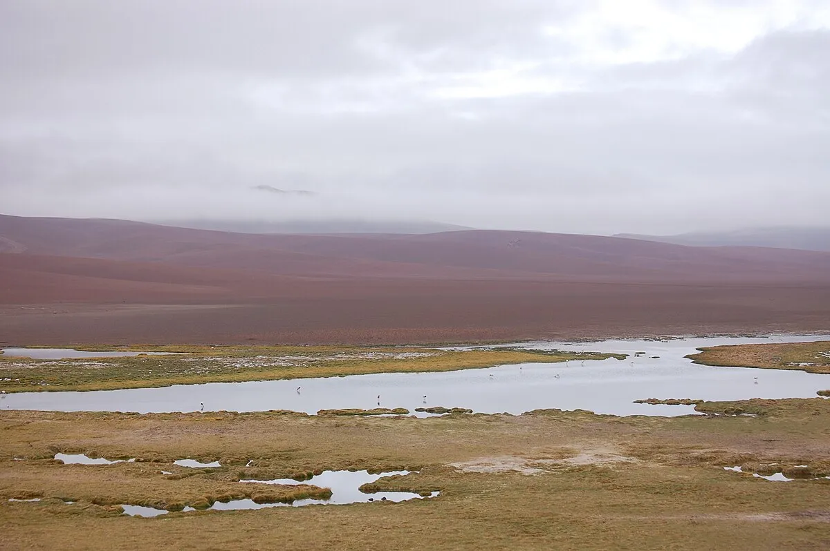 Salar de Pujsa
