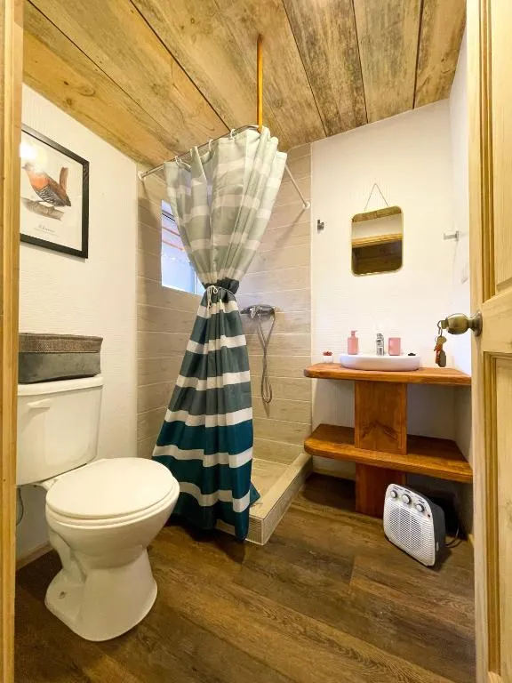 Glamping Casa del Árbol - 1