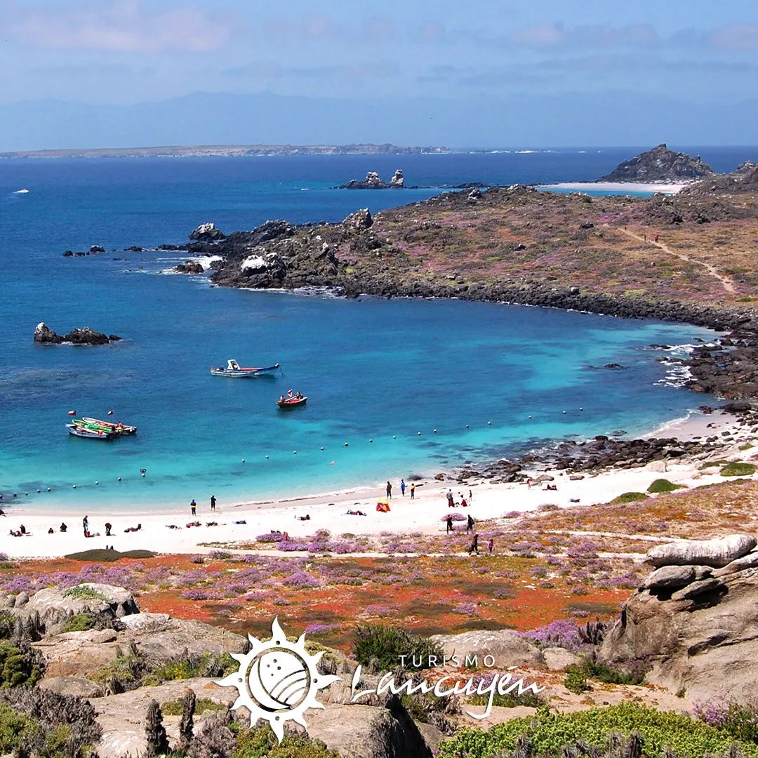 Tour Isla Damas