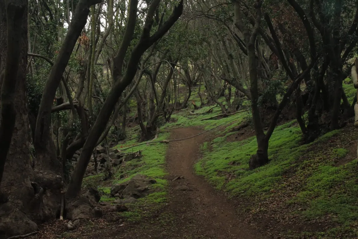 Santuario de la naturaleza Quebrada de la Plata