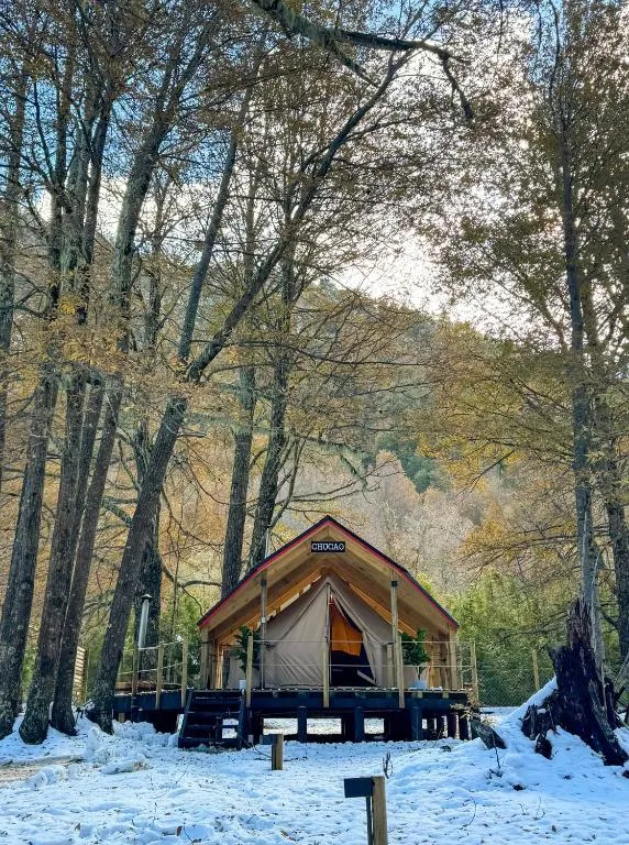 Glamping Casa del Árbol - 3