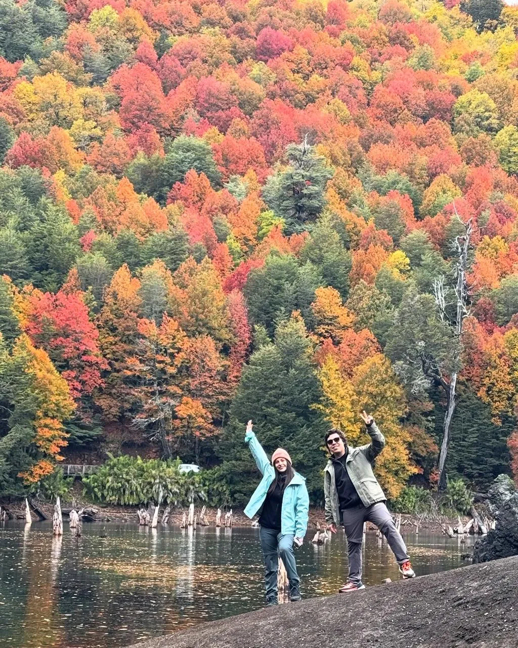 Tour Parque Nacional Conguillío