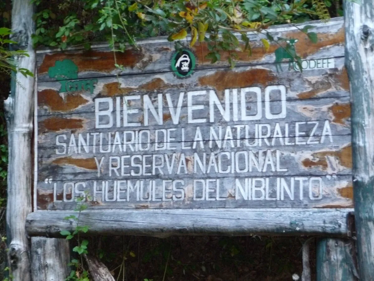 Reserva nacional Los Huemules del Niblinto
