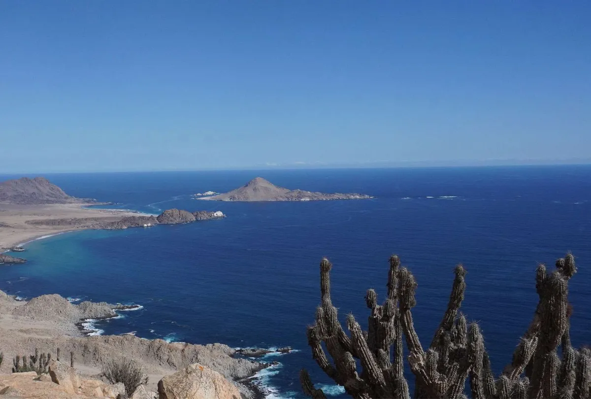 Parque Nacional Pan de Azúcar
