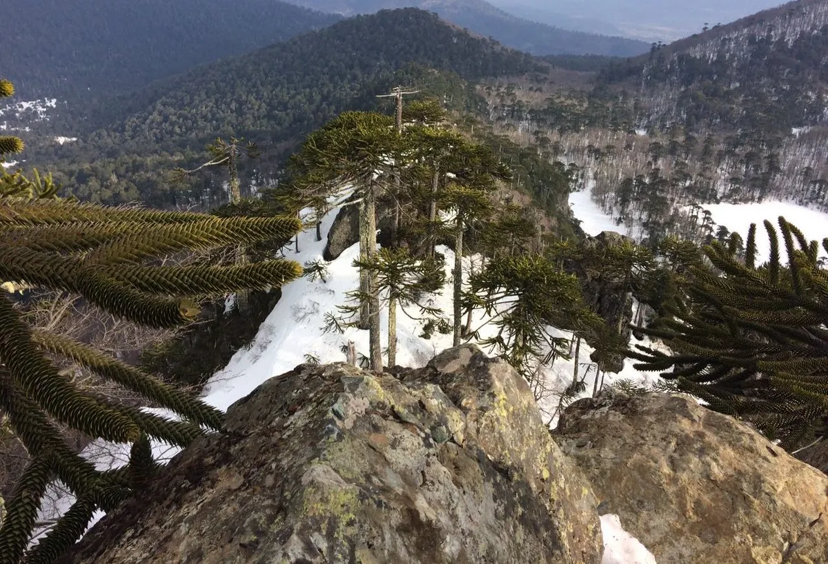 Huerquehue N.P.