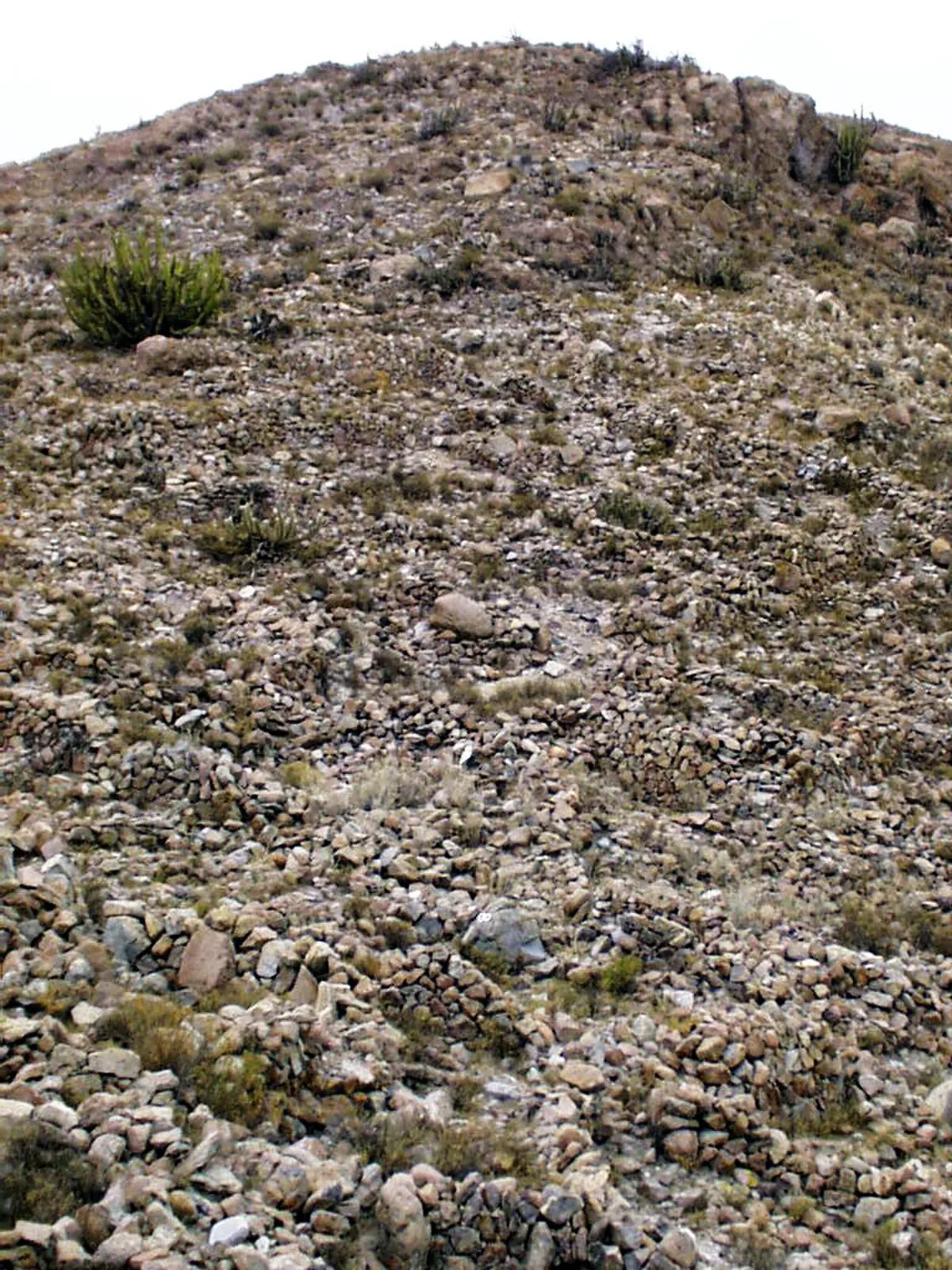 Pucará de Saxamar