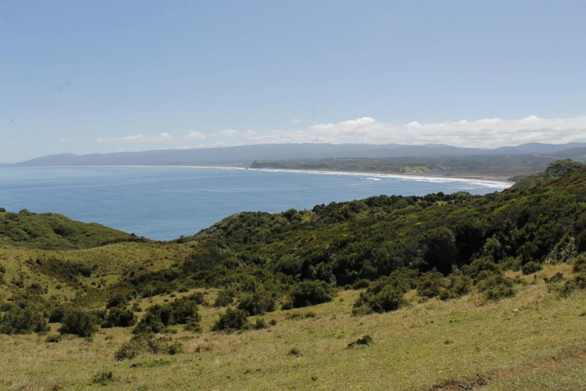 Tour Muelle de las Almas y Parque Nacional Chiloé