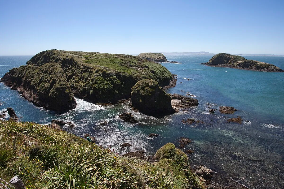 Monumento natural Islotes de Puñihuil