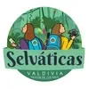 Caminata Fundo Buena Ventura (Collico-Huellelhue)