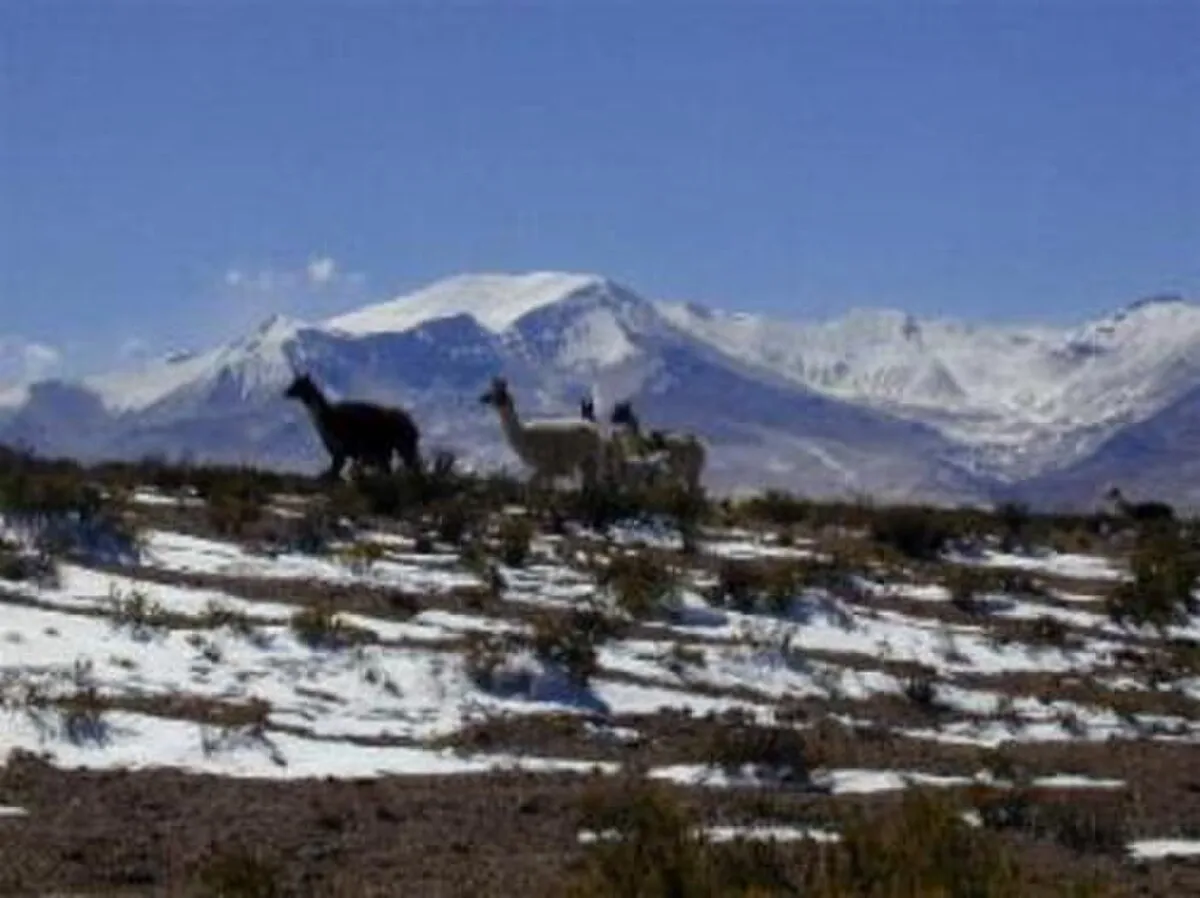 Cerro Sillajhuay