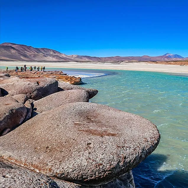 Piedras Rojas + Lagunas Altiplánicas + Laguna Chaxa