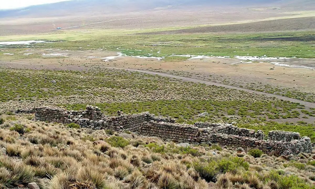 Tambo de Chungará