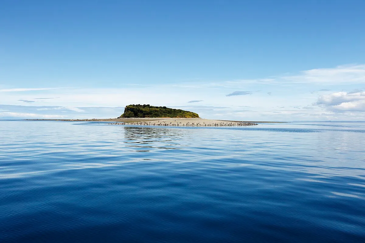 Isla Lagartija
