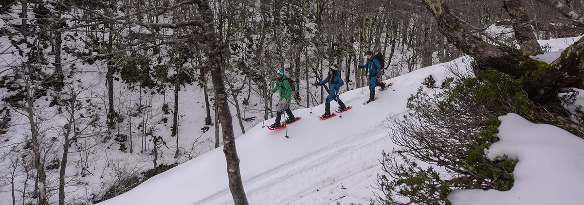 Snow Shoes Experience