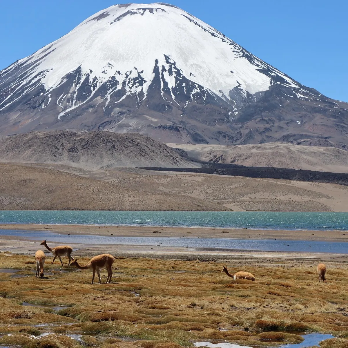 Tour 2 días y 1 noche altiplano - 1