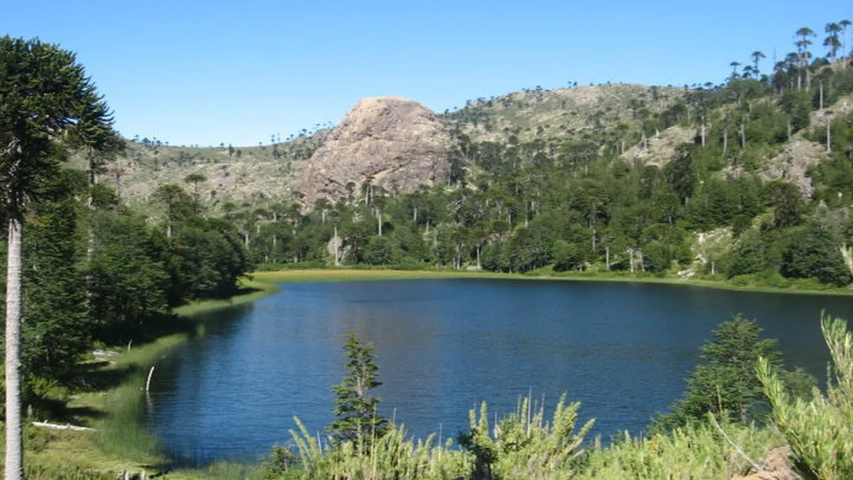 Reserva nacional Altos de Pemehue