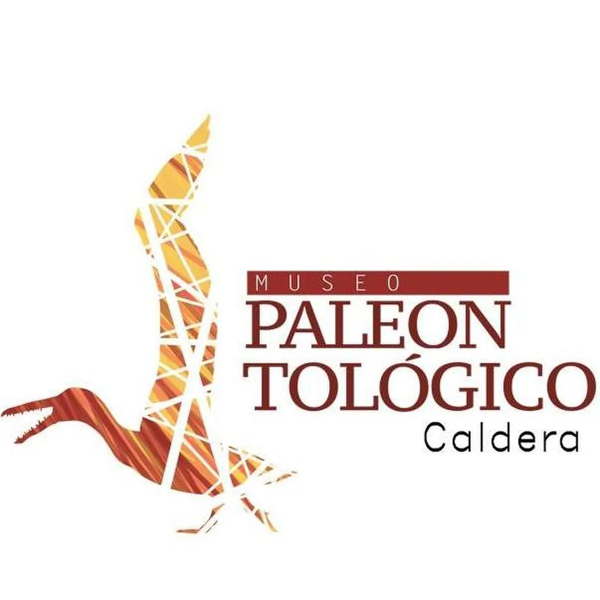 Museo Paleontológico de Caldera