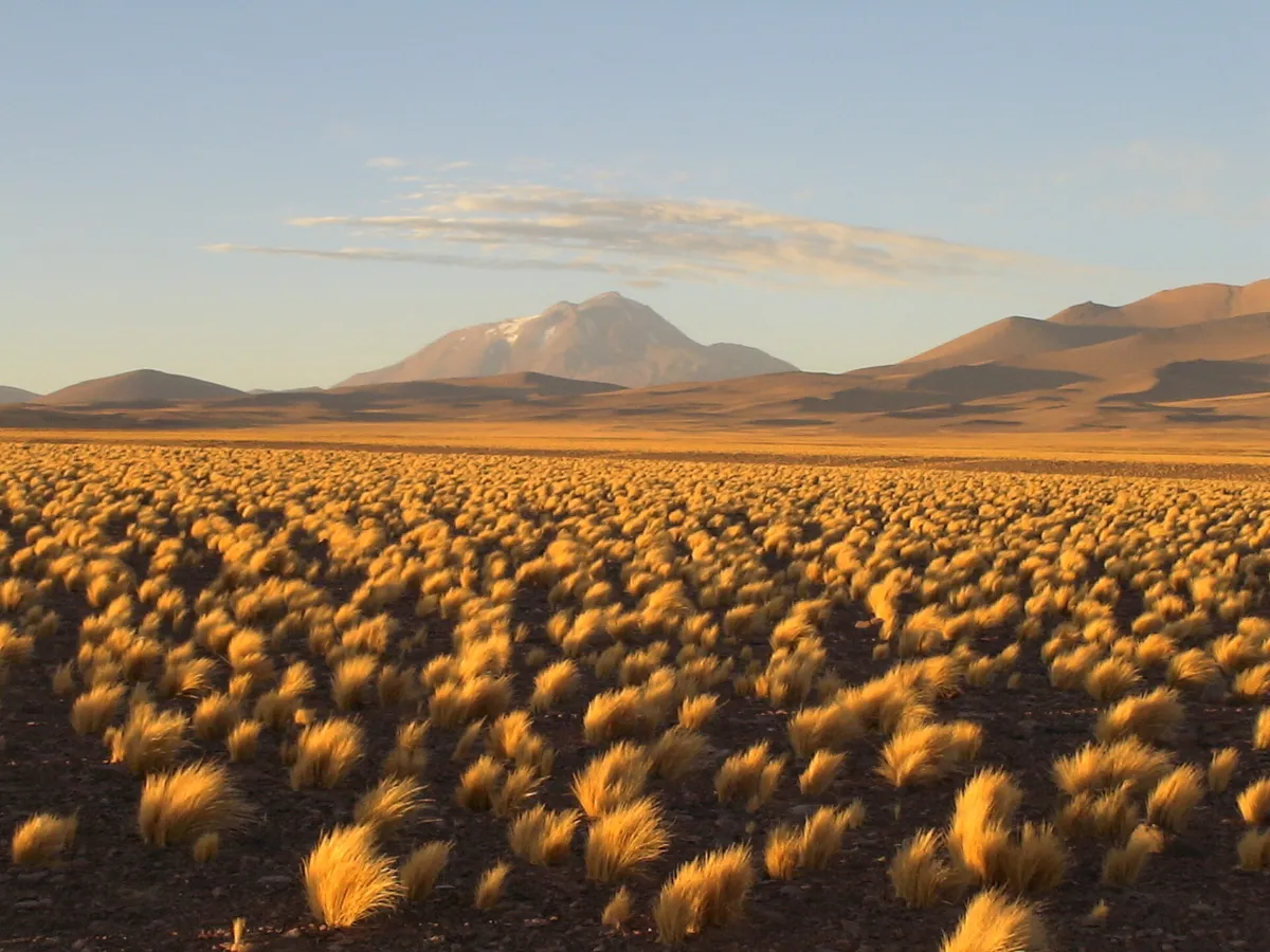 Parque Nacional Llullaillaco