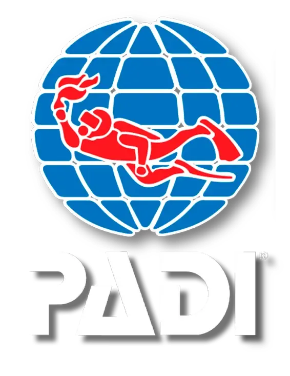 Curso PADI Open Water Diver